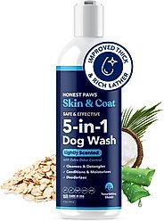 Honest Paws Skin & Coat 5-in-1 Dog Shampoo & Conditioner, Lightly Scented, 16-fl oz bottle slide 1 of 9