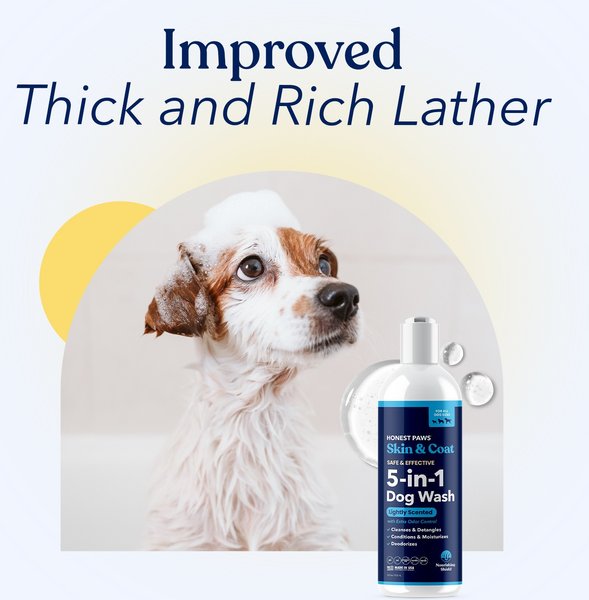 Show full view: Honest Paws Skin & Coat 5-in-1 Dog Shampoo & Conditioner, Lightly Scented, 16-fl oz bottle slide 9 of 9