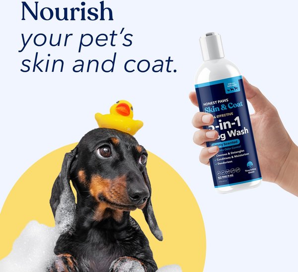 Show full view: Honest Paws Skin & Coat 5-in-1 Dog Shampoo & Conditioner, Lightly Scented, 16-fl oz bottle slide 5 of 9
