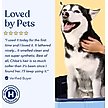 Show in main carousel: Honest Paws Skin & Coat 5-in-1 Dog Shampoo & Conditioner, Lightly Scented, 16-fl oz bottle slide 7 of 9