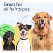 Show in main carousel: Honest Paws Skin & Coat 5-in-1 Dog Shampoo & Conditioner, Lightly Scented, 16-fl oz bottle slide 8 of 9