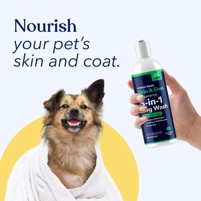 Show full view: Honest Paws Skin & Coat 5-in-1 Oatmeal & Aloe Dog Shampoo & Conditioner, 16-fl oz bottle slide 4 of 9