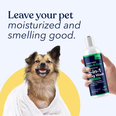 Show full view: Honest Paws Skin & Coat 5-in-1 Oatmeal & Aloe Dog Shampoo & Conditioner, 16-fl oz bottle slide 9 of 9