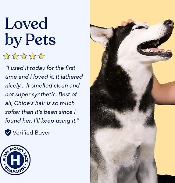 Show full view: Honest Paws Skin & Coat 5-in-1 Oatmeal & Aloe Dog Shampoo & Conditioner, 16-fl oz bottle slide 7 of 9
