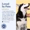 Show in main carousel: Honest Paws Skin & Coat 5-in-1 Oatmeal & Aloe Dog Shampoo & Conditioner, 16-fl oz bottle slide 7 of 9