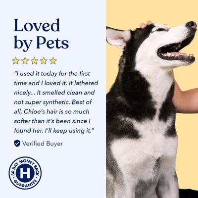 Show full view: Honest Paws Skin & Coat 5-in-1 Oatmeal & Aloe Dog Shampoo & Conditioner, 16-fl oz bottle slide 7 of 9