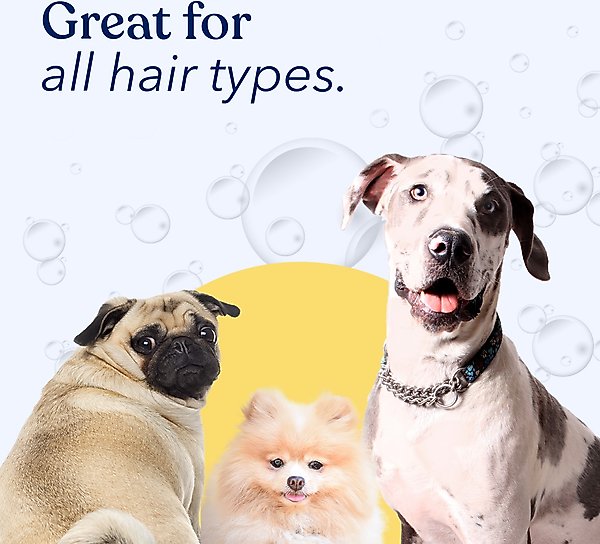 Show full view: Honest Paws Skin & Coat 5-in-1 Oatmeal & Aloe Dog Shampoo & Conditioner, 16-fl oz bottle slide 5 of 9