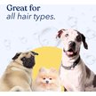 Show in main carousel: Honest Paws Skin & Coat 5-in-1 Oatmeal & Aloe Dog Shampoo & Conditioner, 16-fl oz bottle slide 5 of 9