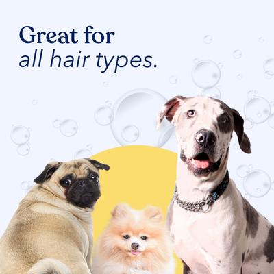 Show full view: Honest Paws Skin & Coat 5-in-1 Oatmeal & Aloe Dog Shampoo & Conditioner, 16-fl oz bottle slide 5 of 9