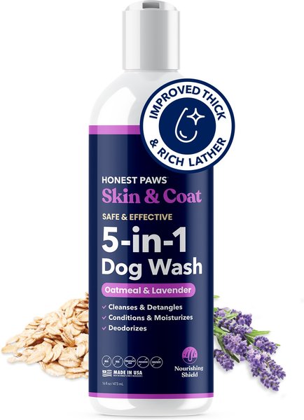 Show full view: Honest Paws Skin & Coat 5-in-1 Oatmeal & Lavender Dog Shampoo & Conditioner, 16-fl oz bottle slide 1 of 9