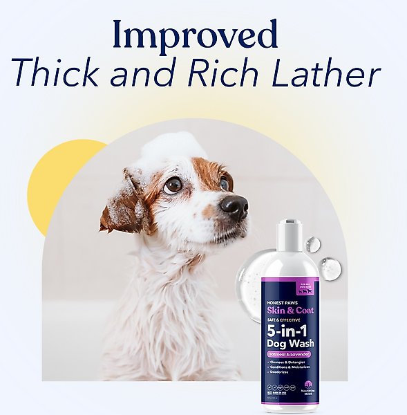 Show full view: Honest Paws Skin & Coat 5-in-1 Oatmeal & Lavender Dog Shampoo & Conditioner, 16-fl oz bottle slide 9 of 9