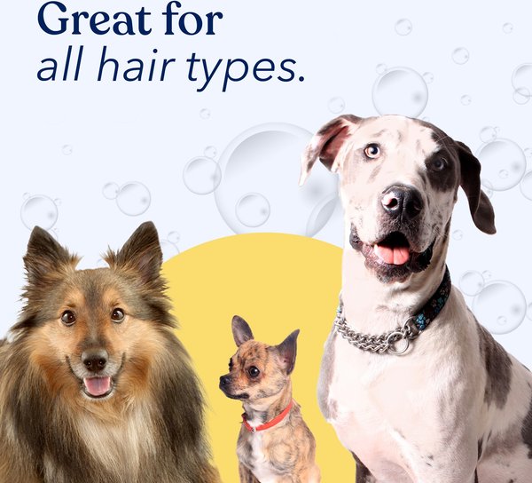 Show full view: Honest Paws Skin & Coat 5-in-1 Oatmeal & Lavender Dog Shampoo & Conditioner, 16-fl oz bottle slide 8 of 9