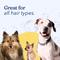 Show in main carousel: Honest Paws Skin & Coat 5-in-1 Oatmeal & Lavender Dog Shampoo & Conditioner, 16-fl oz bottle slide 8 of 9