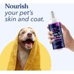 Show in main carousel: Honest Paws Skin & Coat 5-in-1 Oatmeal & Lavender Dog Shampoo & Conditioner, 16-fl oz bottle slide 5 of 9