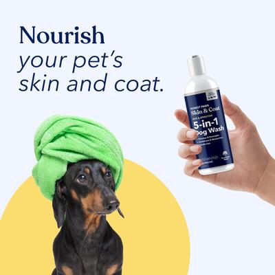 Show full view: Honest Paws Skin & Coat 5-in-1 Oatmeal & Lavender Dog Shampoo & Conditioner, 8-fl oz bottle slide 5 of 9