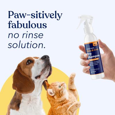 Show full view: Honest Paws Skin & Coat Coconut & Mango Dog Dry Shampoo, 8-fl oz bottle slide 10 of 10