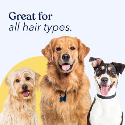 Show full view: Honest Paws Skin & Coat Coconut & Mango Dog Dry Shampoo, 8-fl oz bottle slide 9 of 10