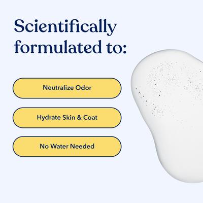 Show full view: Honest Paws Skin & Coat Mandarin & Berry Dog Dry Shampoo, 8-fl oz bottle slide 2 of 9