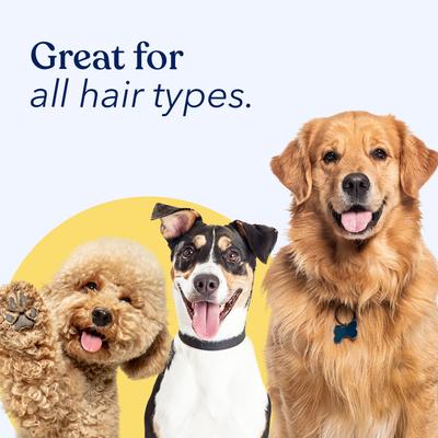 Show full view: Honest Paws Skin & Coat Mandarin & Berry Dog Dry Shampoo, 8-fl oz bottle slide 8 of 9