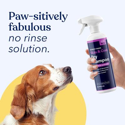 Show full view: Honest Paws Skin & Coat Oatmeal & Lavender Dog Dry Shampoo, 16-fl oz bottle slide 5 of 9