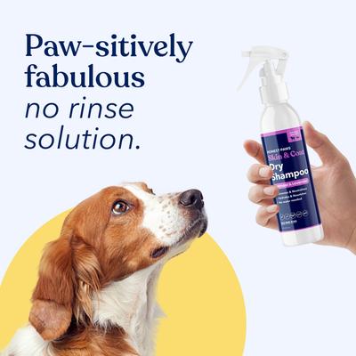 Show full view: Honest Paws Skin & Coat Oatmeal & Lavender Dog Dry Shampoo, 8-fl oz bottle slide 6 of 10