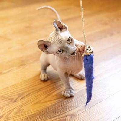 Show full view: Honest Pet Products Eco Kitty Catcher Fishpole Cat Toy slide 9 of 11