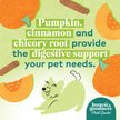 Show in main carousel: Honest To Goodness Plant Snacks Mellow Belly Pumpkin & Cinnamon Dog Treats, 8-oz bag slide 5 of 10