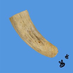 Honey I'm Home! Horn Core Natural Honey Coated Buffalo Chews Grain-Free Dog Treats, 1 count slide 2 of 4