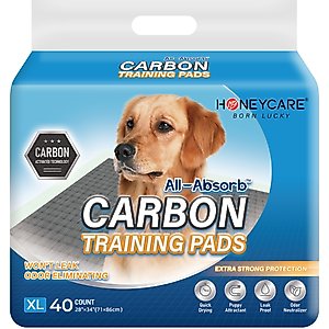 HoneyCare All-Absorb Charcoal Carbon Eliminating Urine Odor Dog Training Pads, 28x34-in, 40 count