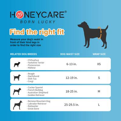 Show full view: HoneyCare All-Absorb Disposable Male Dog Wraps, Large: 25 to 29.5-in waist, 50 count slide 6 of 8
