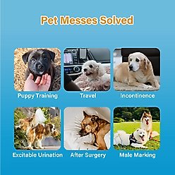 HoneyCare All-Absorb Disposable Male Dog Wraps, Medium: 18 to 25-in waist, 50 count slide 2 of 6