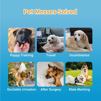 Show full view: HoneyCare All-Absorb Disposable Male Dog Wraps, Small: 12 to 19-in waist, 50 count slide 2 of 7