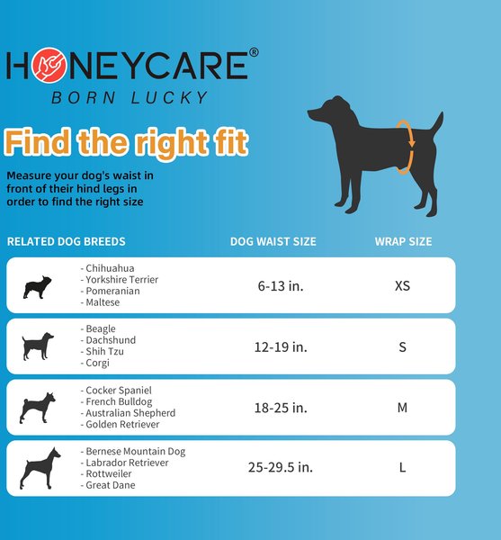 Honey Care All-Absorb Disposable Male Dog Wraps