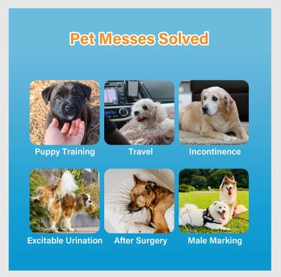 Show full view: HoneyCare All-Absorb Disposable Male Dog Wraps, X-Small: 6 to 13-in waist, 100 count slide 3 of 8