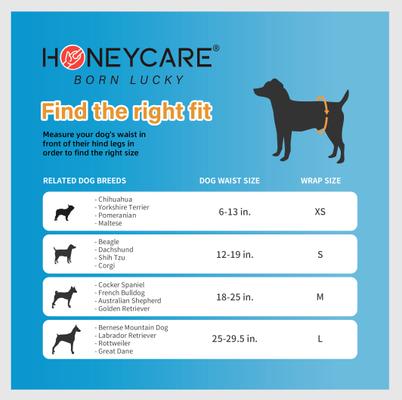 Show full view: HoneyCare All-Absorb Disposable Male Dog Wraps, X-Small: 6 to 13-in waist, 100 count slide 6 of 8