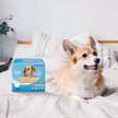 Show in main carousel: HoneyCare All-Absorb Disposable Male Dog Wraps, X-Small: 6 to 13-in waist, 50 count slide 4 of 7
