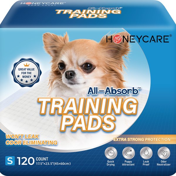 Show full view: HoneyCare All-Absorb Small Super Absorbent Training Pads, 17.5 x 23.5 in, 120 count slide 1 of 7