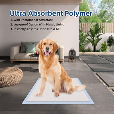 Show full view: HoneyCare All-Absorb Small Super Absorbent Training Pads, 17.5 x 23.5 in, 120 count slide 4 of 7