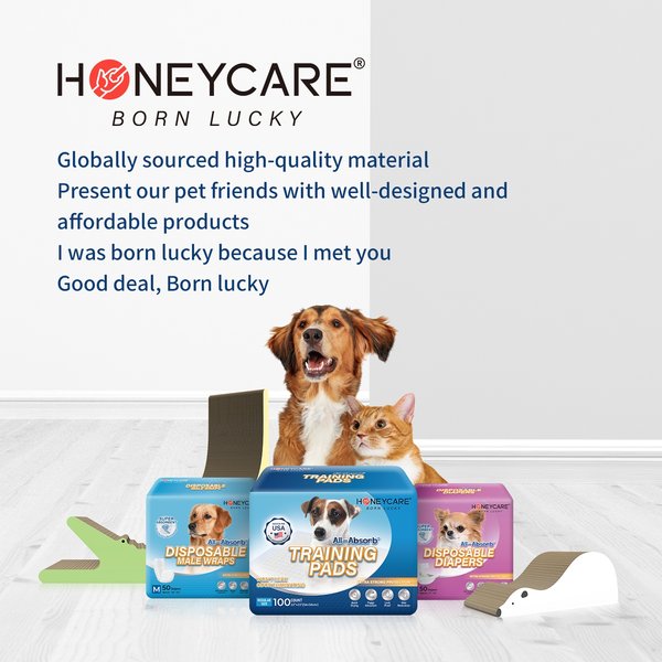 Show full view: HoneyCare All-Absorb Small Super Absorbent Training Pads, 17.5 x 23.5 in, 120 count slide 5 of 7
