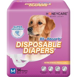 HoneyCare All-Absorb Super Absorbent Disposable Female Dog Diapers, Medium: 12 to 20-in waist, 36 count