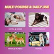 Show in main carousel: HoneyCare All-Absorb Super Absorbent Disposable Female Dog Diapers, Medium: 12 to 20-in waist, 36 count slide 5 of 7