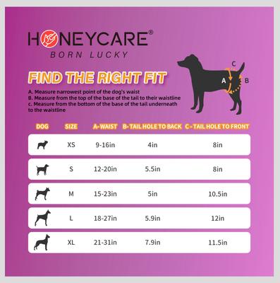 Show full view: HoneyCare All-Absorb Super Absorbent Disposable Female Dog Diapers, Small: 12 to 20-in waist, 40 count slide 5 of 6