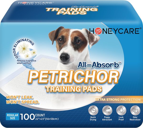 Wee-Wee Odor Control Dog Pee Pads, 22 x 23-in, Unscented 100 count Wee-Wee Odor Control Dog Pee Pads, 22 x 23-in, Unscented 100 count