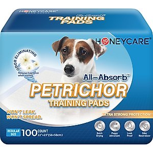 HoneyCare All-Absorb Super Absorbent Dog Training Pads, 22 x 23-in, 100 count, Unscented