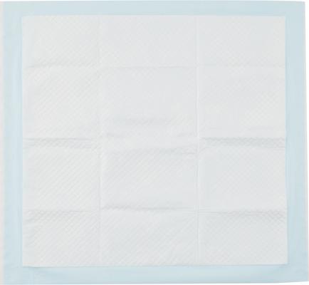 Show full view: HoneyCare All-Absorb Super Absorbent Dog Training Pads, 22 x 23-in, 100 count, Unscented slide 3 of 6