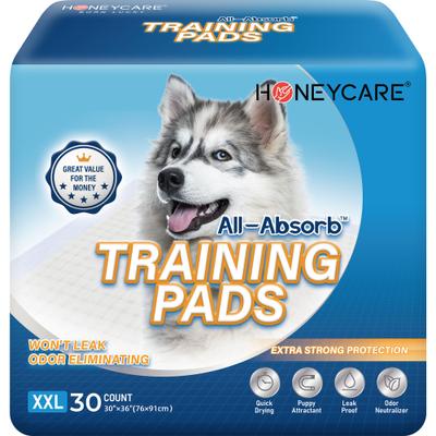 HONEYCARE All-Absorb Ultra Absorbent & Odor Eliminating Dog