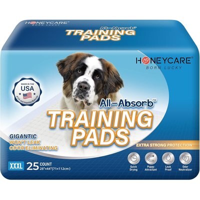 HoneyCare HoneyCare Gigantic Quick Dry & Leak Proof Dog Training Pads, XXX-Large:28 x 44-in, 25 count