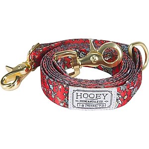 HOOEY Nomad Ployester Standard Dog Leash, 6-ft long, Western Floral