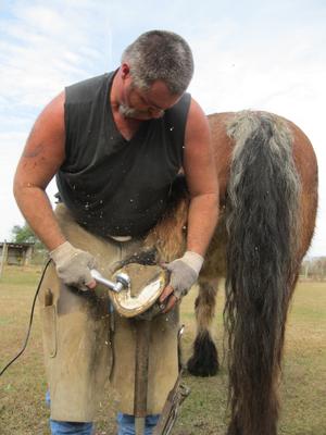 Show full view: Hoof Boss Basic Electric Plug In Horse Hoof Trimmer Set slide 4 of 4