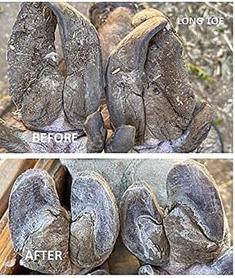 Show full view: Hoof Boss Basic Pig Hoof Care Electric Trimming Set slide 3 of 3